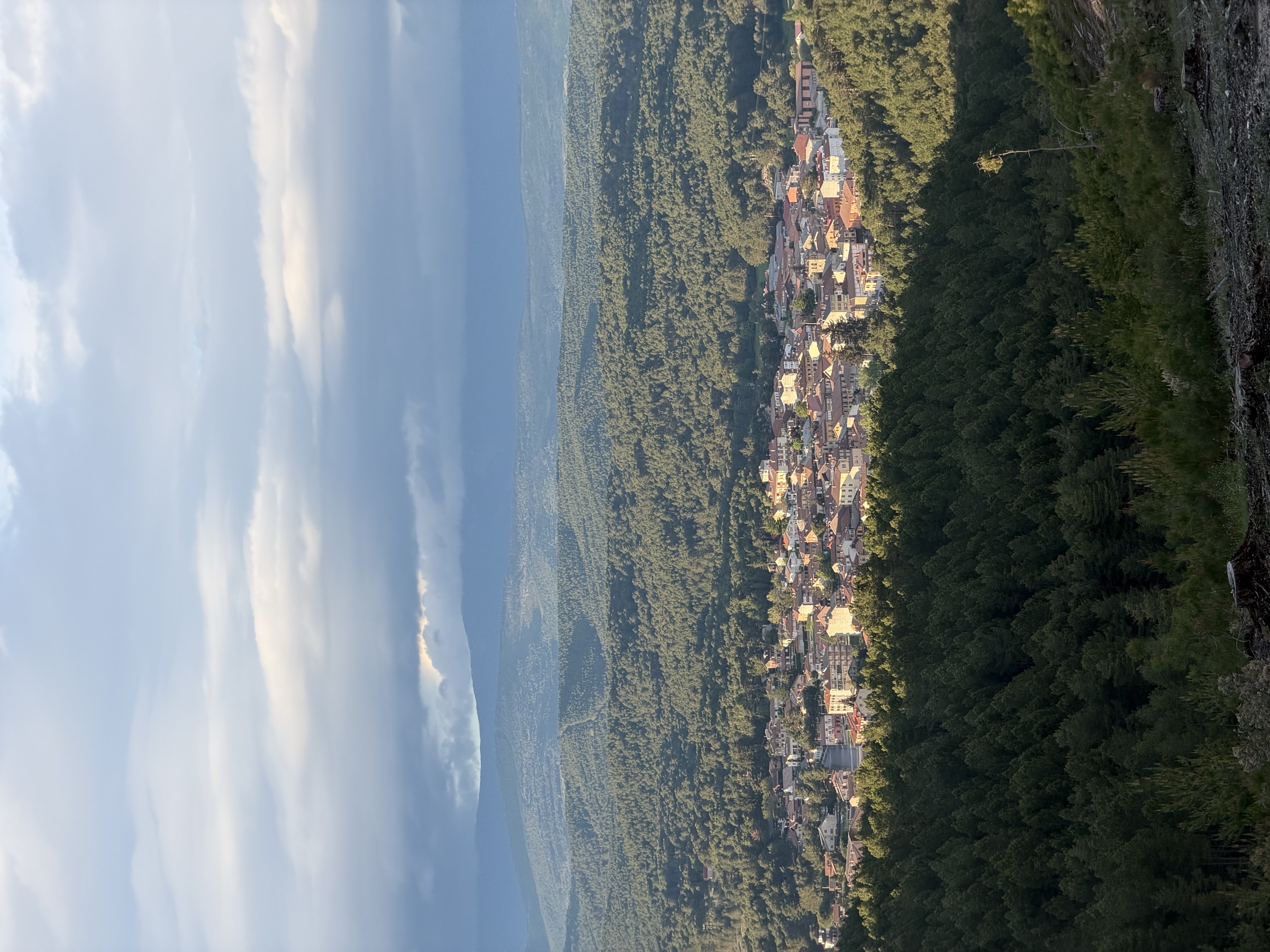 El pinar de Soria y Navaleno vistos desde lo alto